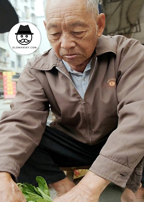 White hair old man was tidying up vegetables on the roadside