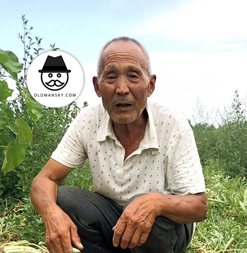 Grandpa was checking watermelon in the field